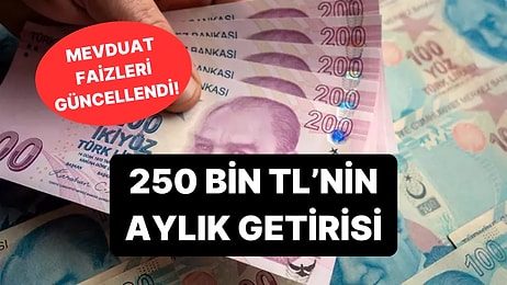Mevduat Faizlerinde Son Durum: İşte Bankalarda 250 Bin TL'nin Aylık Getirisi!