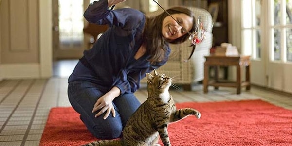 1. Evcil Hayvan Oyunları