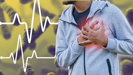 Uzmanlar Uyardı: Bağırsak Florasındaki 15 Bakteri Kalp Hastalığıyla Bağlantılı Çıktı!