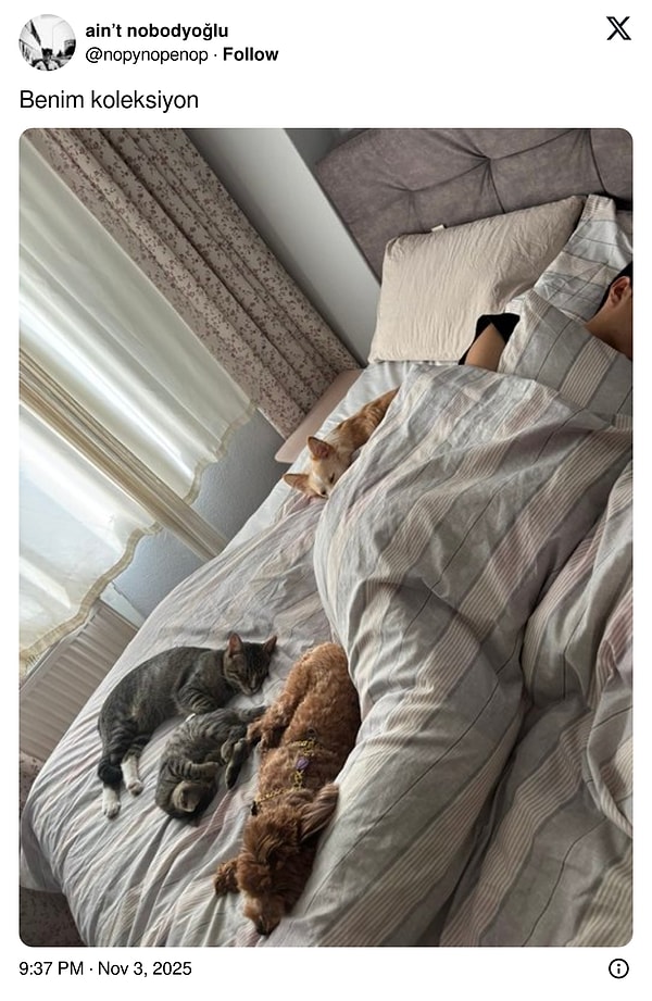 O yatak artık onların...