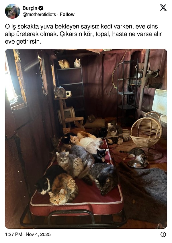 Onca yer varken hepsinin tek bir yere sıkışması hakkındaki düşünceleriniz?