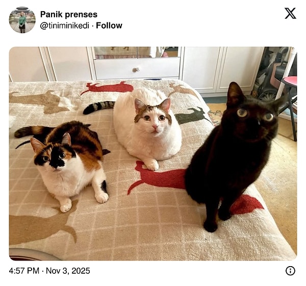 Sağda yalnızca bir çift göz görüyoruz. Bozuk herhalde.