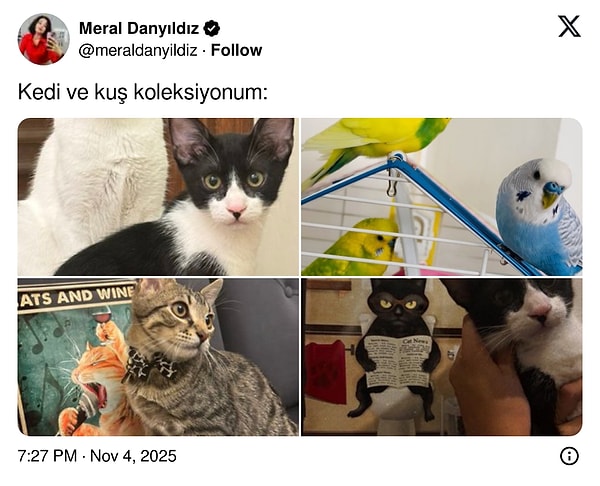 Kediler cinslik yapmasa çok iyi anlaşırlar aslında.