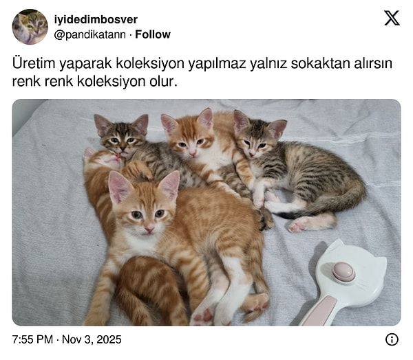 Kapanışımızı da vanilya kokusunun buram buram geldiği bu bebeklerle yapalım. Bir sonraki içerikte görüşmek üzere 💫