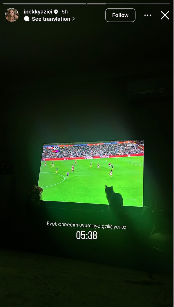 İpek Filiz Yazıcı