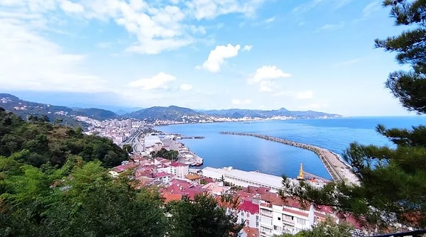 Yiğit Giresun ve istiklal madalyası için imza kampanyası başlatılmıştı.
