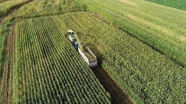 Üretim ve kooperatifçilik güçlendirilecek.