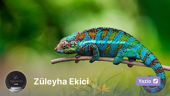 Bukalemun mu, Şekil Değiştirici mi?