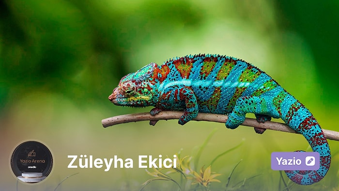 Bukalemun mu, Şekil Değiştirici mi?