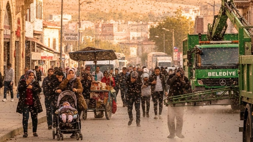 Türkiye'de Sinek İstilası Var! Havadan Kar Değil 'Bit' Yağıyor
