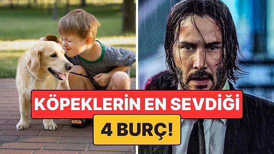 Köpeklerin En Çok Anlaştığı 4 Burç: Aralarında Görünmez Bir Bağ Var!