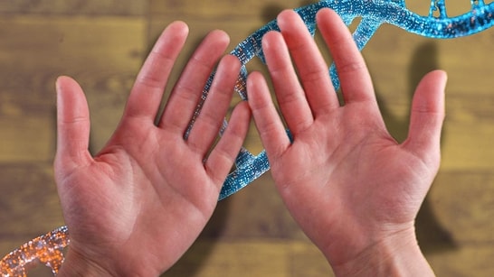 The Length of Your Ring Finger May Reveal Your Talent!