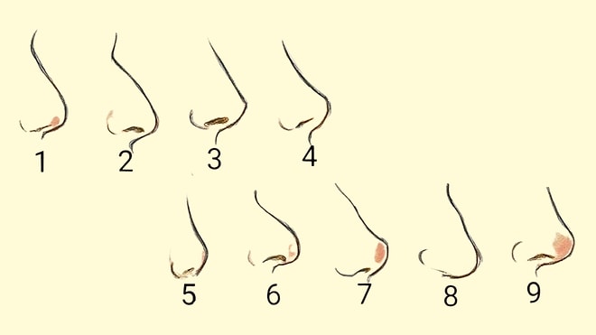Which Ancient Civilization Are Your Ancestors From, Based on Your Nose Shape?