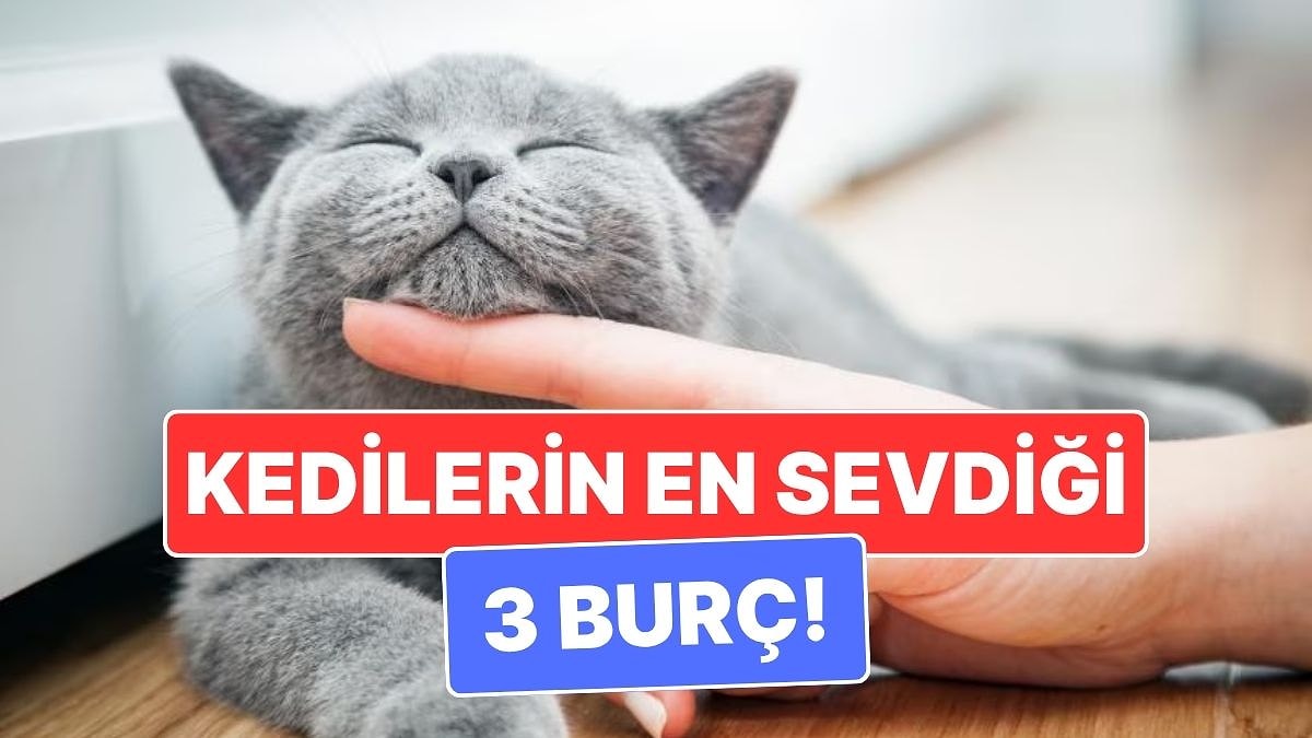 Kedilerin Ruh Eşi Gibi Olan 3 Burç: Aynı Enerjiden Besleniyorlar!