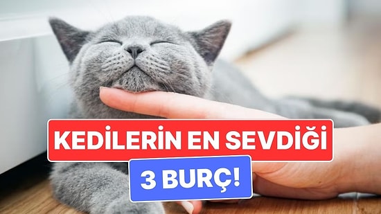 Kedilerin Ruh Eşi Gibi Olan 3 Burç: Aynı Enerjiden Besleniyorlar!