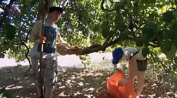 Vural ailesi, gençlere 2011 yılındaki program çekimleri sırasında huzurevi ziyaretinden limon bahçesinde çalışmaya, ev temizliğinden yayla gezisine kadar pek çok görev vermişti.