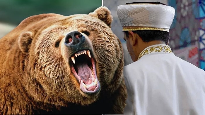 Kastamonu’da Mantar Toplayan İmama Ayı Saldırdı: Yaralı Olarak Kurtuldu