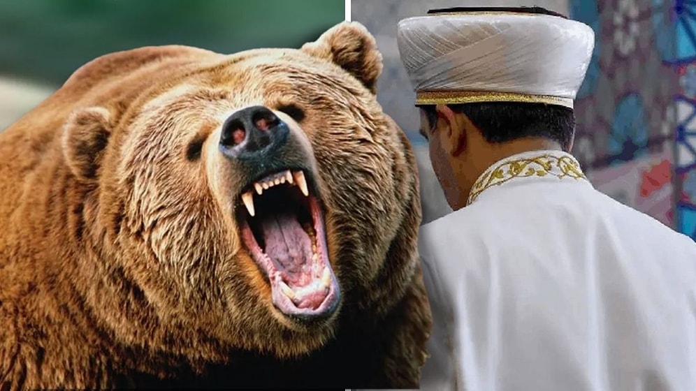 Kastamonu’da Mantar Toplayan İmama Ayı Saldırdı: Yaralı Olarak Kurtuldu