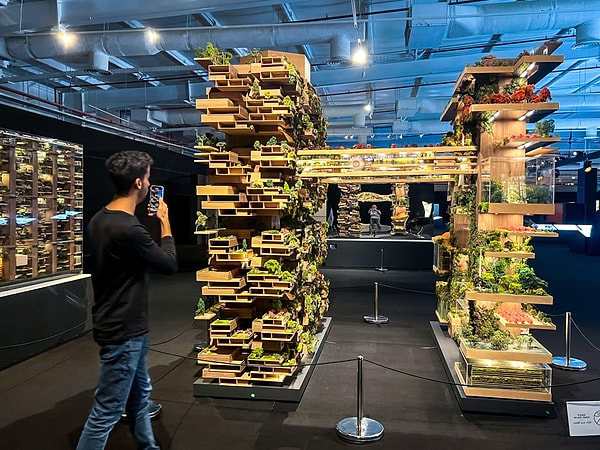 Neom, Suudi Arabistan'ın küresel imajını yenileme, kendisini teknokratik bir merkez olarak sunma ve Batı'nın önemli endüstrilerine (yapay zeka, yenilenebilir enerji) ev sahipliği yapma çabasının bir göstergesi olarak tanıtılıyor.