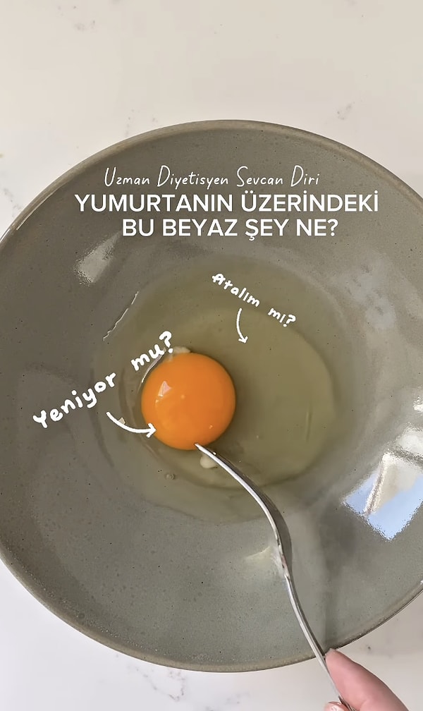 Yumurta, hem besleyici hem de kolay ulaşılabilir bir besin.