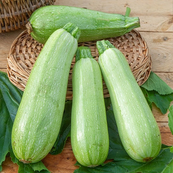 Özellikle kalabalık sofralar veya kışlık hazırlıklar için kilolarca kabak oymak tam bir eziyete dönüşebilir.