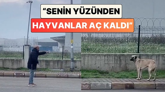 Bir Adamın Poğaça Verdiği Köpekle Yaşadığı Tartışma İzleyenleri Güldürdü: "Senin Yüzünden Hayvanlar Aç Kaldı."