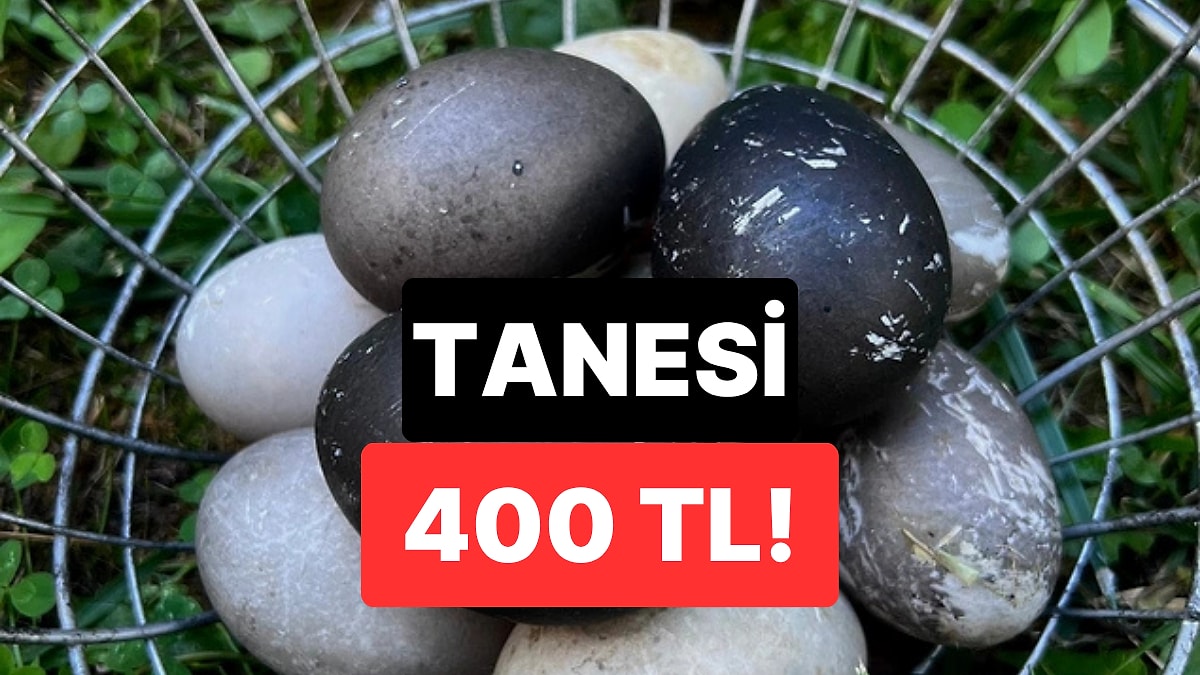 Siyah Renkteki Yumurtalar Altını Solladı: Tanesi 400 TL’yi Aşıyor