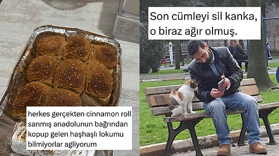 Yerli ve Milli Cinnamon Roll'dan İlişki Koçu Kediye Son 24 Saatin Viral Tweetleri