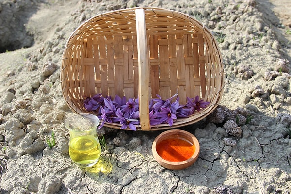 “Her bölgenin kendine ait safranı var ama en değerli safran Anadolu’da yetişen safran”