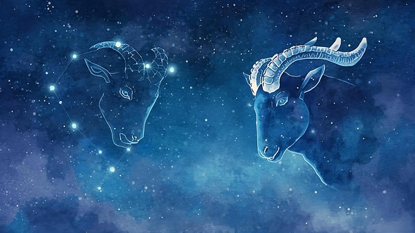 Toprak grubunda her zaman uyum vardır: Oğlak ve Boğa.