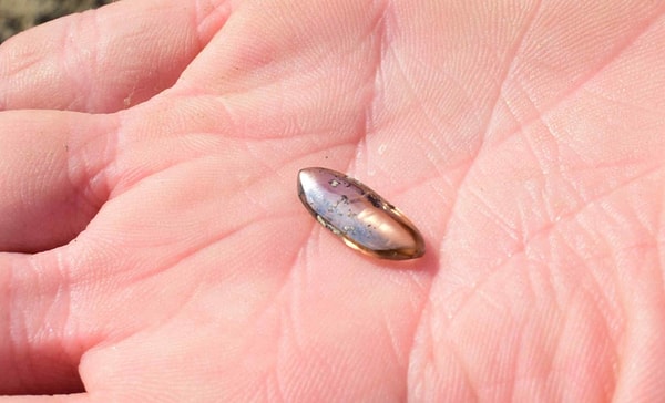 Oklahoma’lı bir aile, 13 Eylül’de Arkansas’ın güneybatısındaki Crater of Diamonds State Park’ta 2,79 karatlık kahverengi bir elmas buldu.