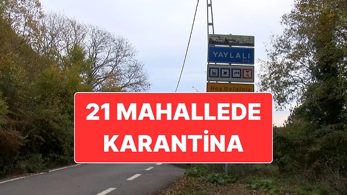 İstanbul’da Şap Hastalığı Karantinası: Şile’de 21 Mahallede Hayvancılık Hareketleri Durduruldu