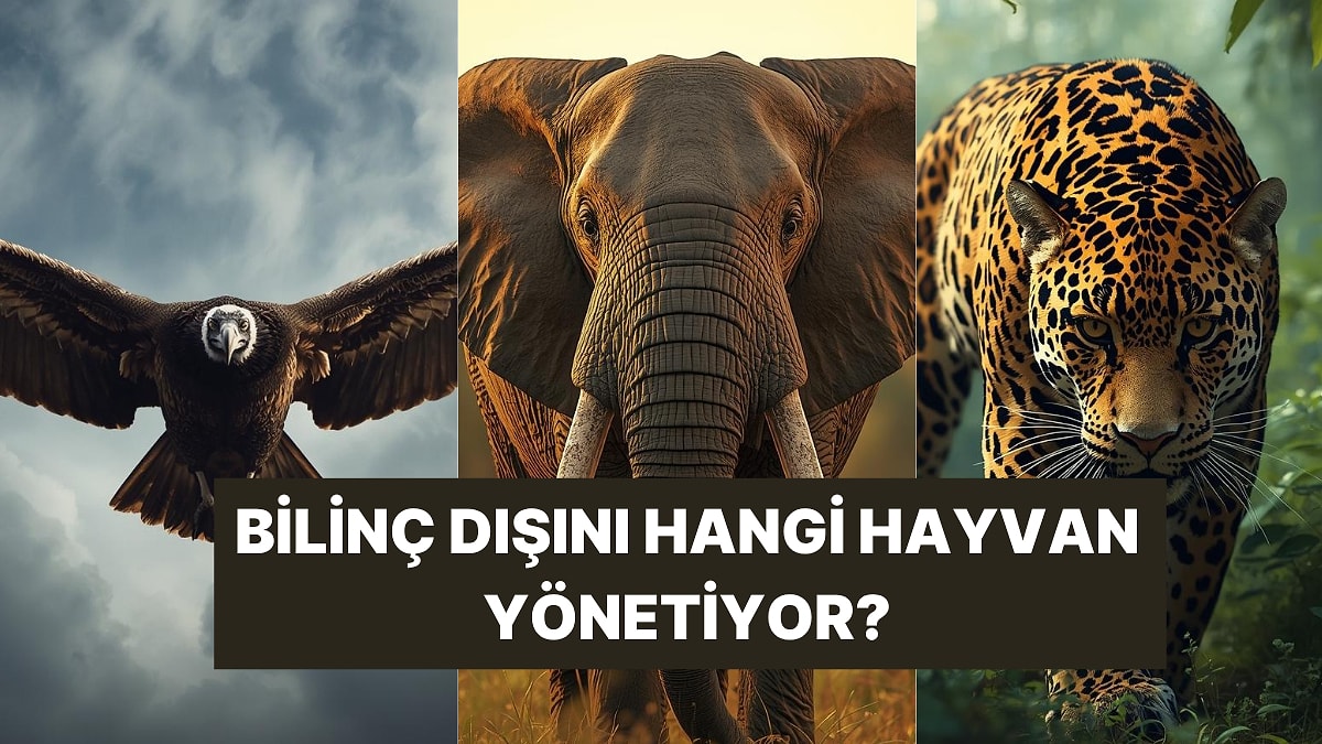 Bilinç Dışını Hangi Vahşi Hayvan Yönetiyor?