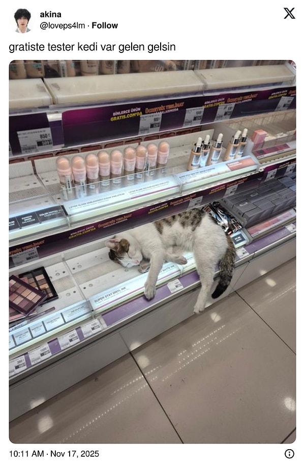 Yarısı bitmiş zaten.