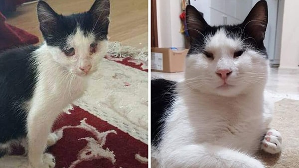 1. Açılışımızı, değişimiyle kalbimizi eriten bu bebekle yapalım! Sevginin iyileştirici gücü bu olsa gerek...