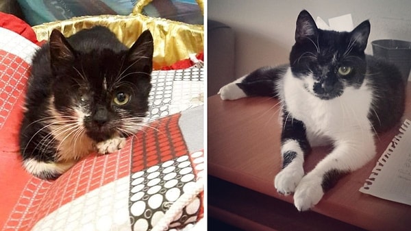 5. Evde başka yer yokmuş gibi masanın üstüne yatıldıysa bu iş tamamdır. O ev artık onun!