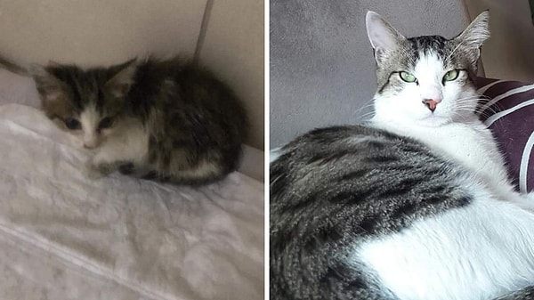 9. O ürkeklikten eser yok şimdi! Bakışlarıyla bizi bile yargıladı 😂