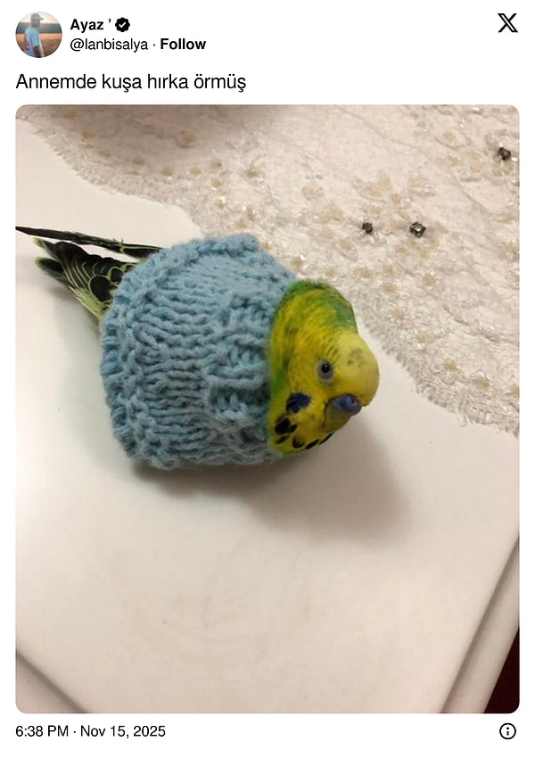 Kış hazırlıkları...