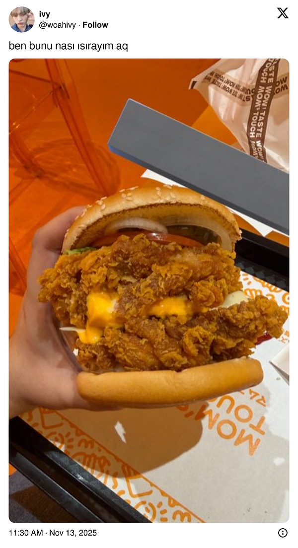 Tavuğu olduğu gibi kızartmışlar.