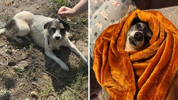 2. Görsele bakınca bile sıcacık olduk!