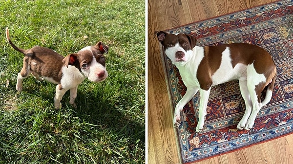 4. Önceden kemikleri sayılan bu bebeğe bi' bakın şimdi 😍