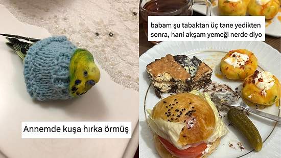 Günlük Hayatta Karşılaştıkları Manzaralardan Mizah Çıkaran Twitter Kullanıcıları