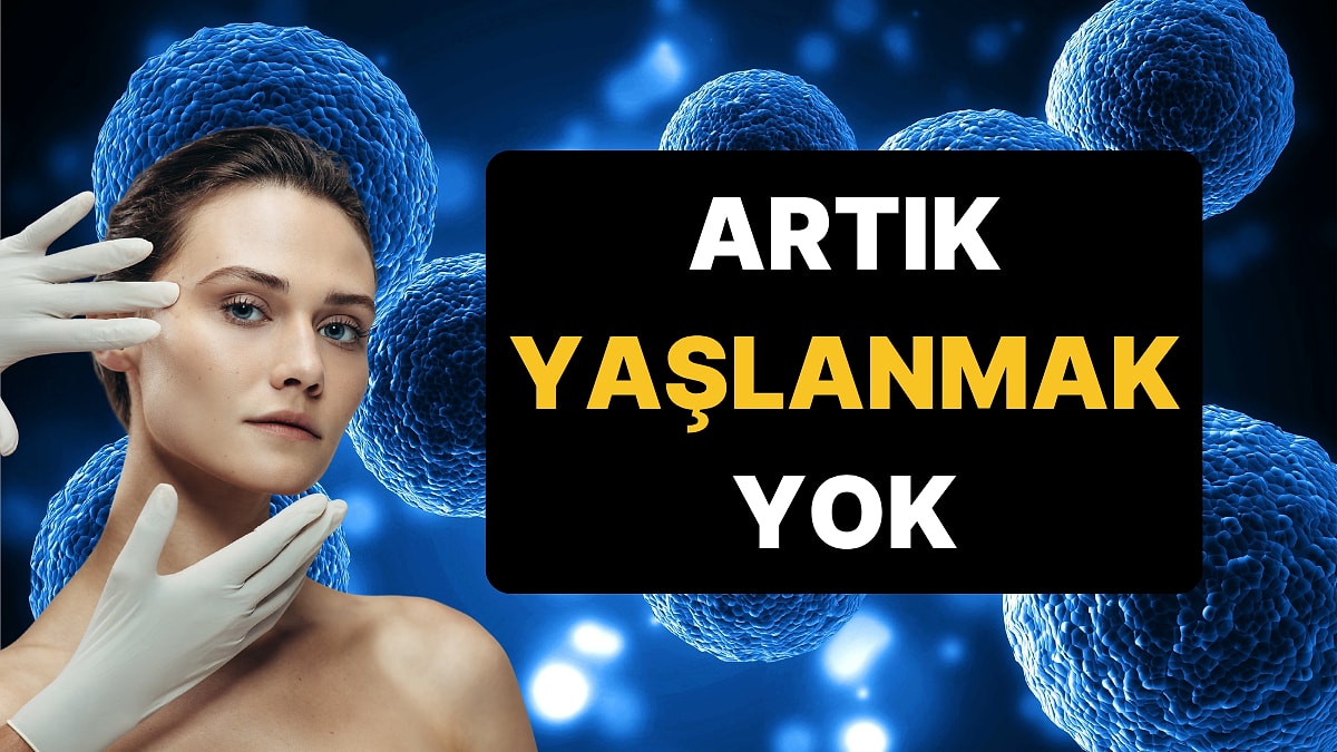 Bilim Dünyası Heyecanlı: Yaşlanmayı Frenleyen Yeni Bağışıklık Hücresi Keşfedildi!