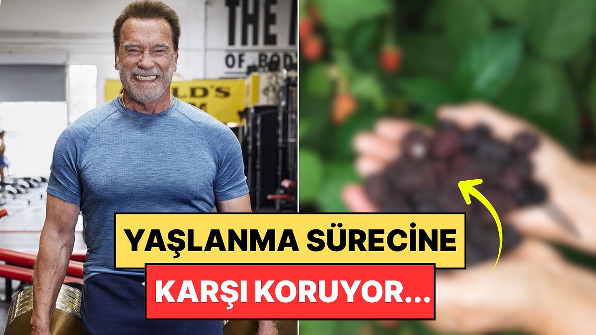 Son Dakika Haber Görseli