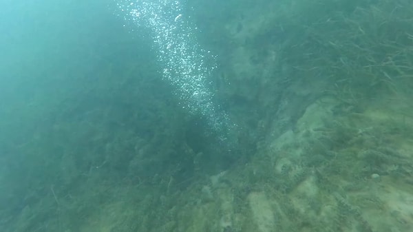 "Su kütleleri faylar üzerinde depremleri tetikleyebilirler"