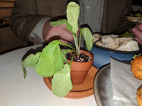 5. "Doğal besleniyorum" diyenlerin akşam yemeği