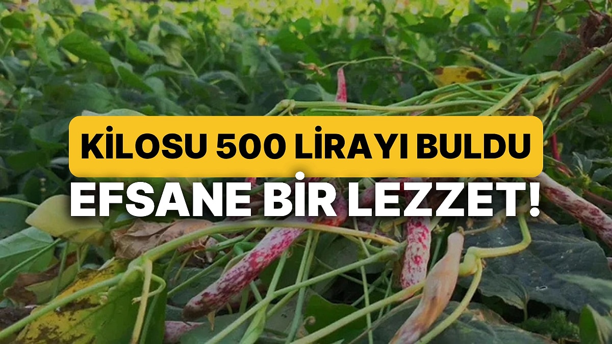 Halkın &quot;Beyaz Altın&quot; Dediği Ürün Ünlü Şeflerin Vazgeçilmezi Oldu: Kilosu 500 Lirayı Buldu!