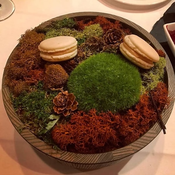 6. Biliyorsunuz değil mi? Macaron saksıda yetişir!