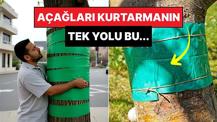 Avrupa'da Çiftçiler Mahsullerini Kurtarmak İçin Ağaçlara Bant Yapıştırmaya Başladı!