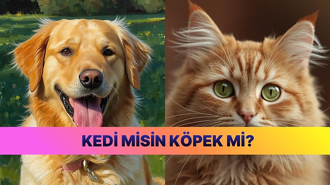Evet/Hayır Testiyle Köpek İnsanı mı Kedi İnsanı mı Olduğunuzu Öğrenin!